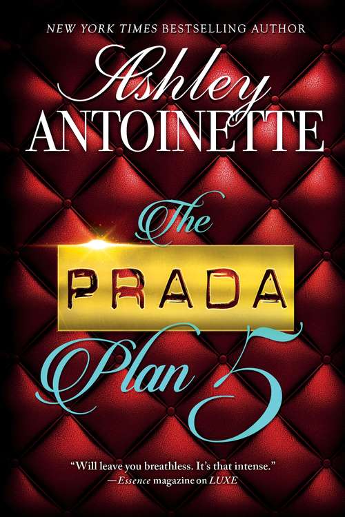 Book cover of The Prada Plan 5