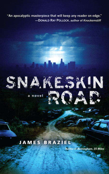 Book cover of Snakeskin Road