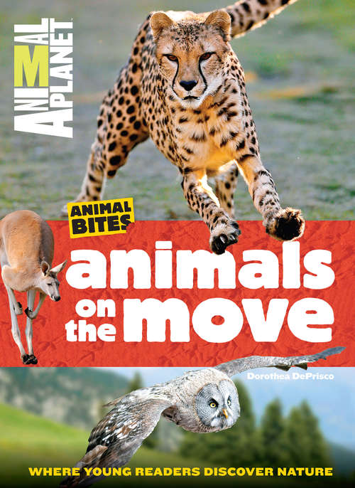 Animals on the Move (Animal Bites Ser.)