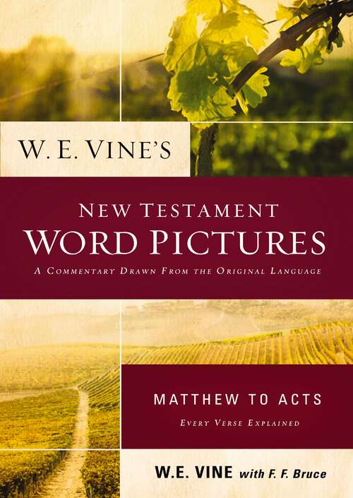 Book cover of W. E. Vine's New Testament Word Pictures: Matthew to Acts