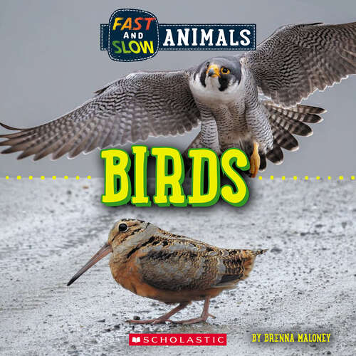 Book cover of Fast and Slow: Birds (Wild World)