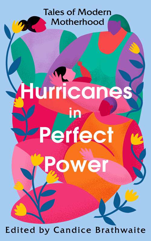 Book cover of Hurricanes in Perfect Power: Tales of Modern Motherhood