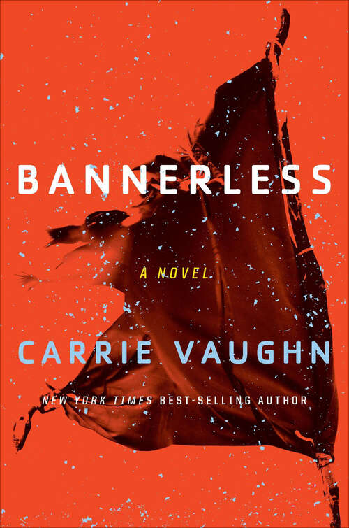 Book cover of Bannerless: A Novel (The Bannerless Saga)
