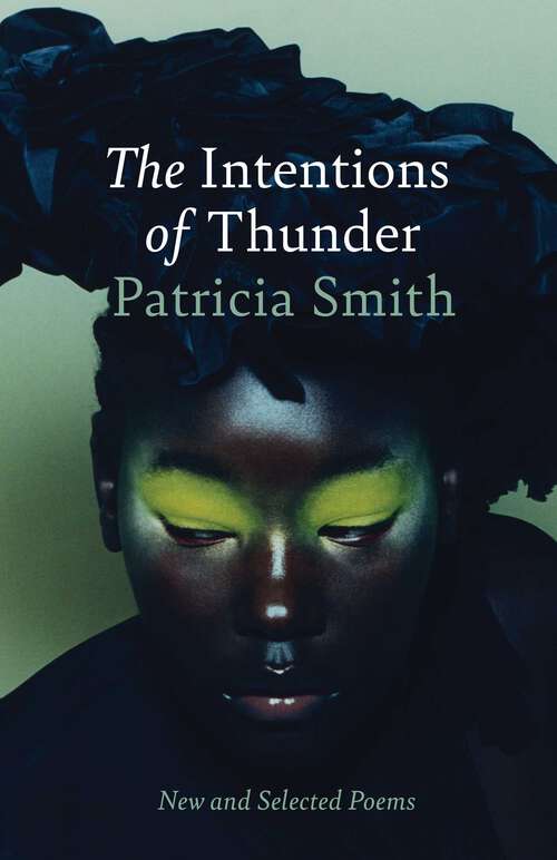 Book cover of The Intentions of Thunder: New and Selected Poems