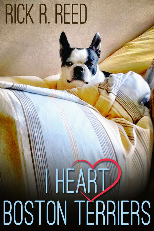 Book cover of I Heart Boston Terriers