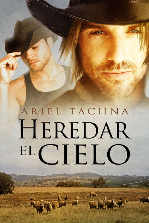 Book cover of Heredar el cielo (Lang Downs #1)