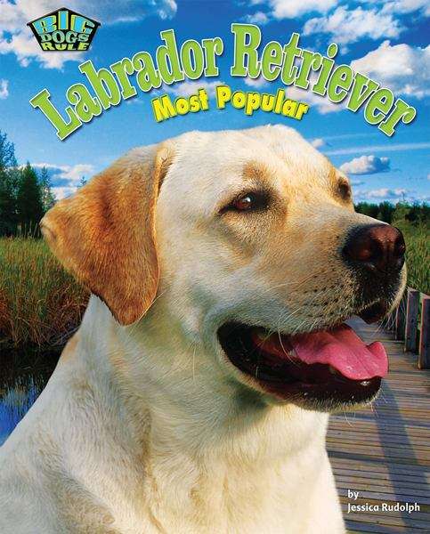 Book cover of Labrador Retriever: Most Popular (Big Dogs Rule!)