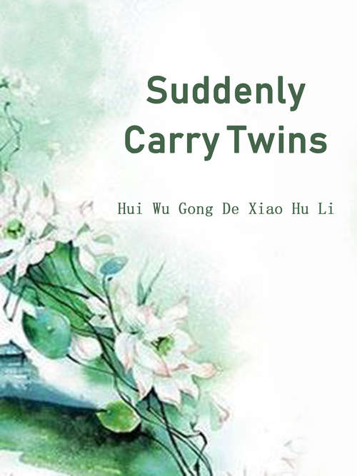 Suddenly Carry Twins: Volume 2 (Volume 2 #2)