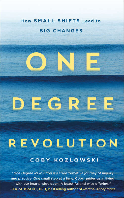 Book cover of One Degree Revolution: How Small Shifts Lead to Big Changes