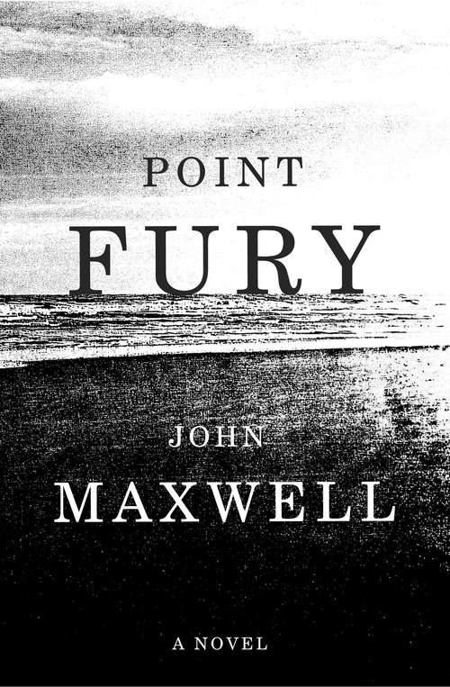 Book cover of Point Fury