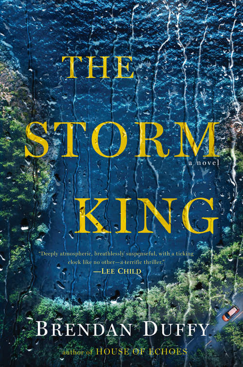 Book cover of The Storm King: A Novel