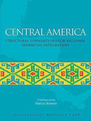 Structural Foundations for Regional Financial Integration