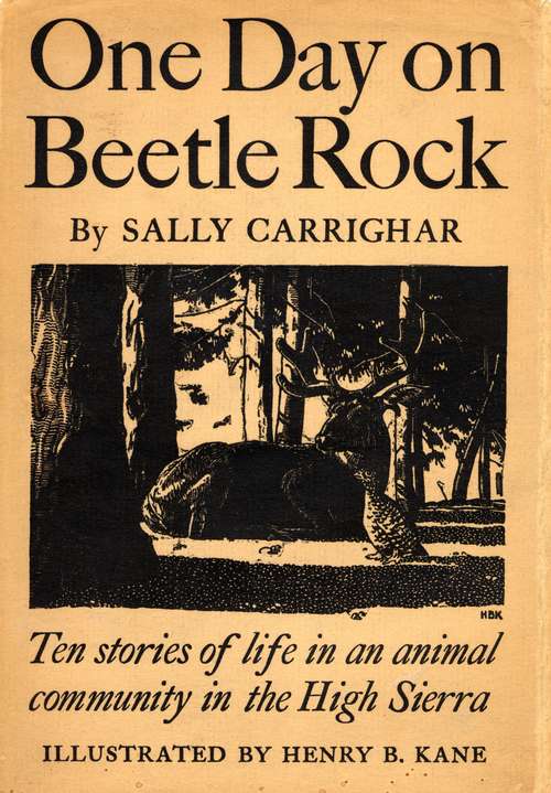 Book cover of One Day On Beetle Rock