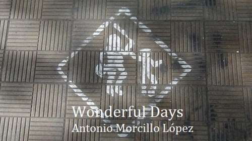 Book cover of Wonderful Days