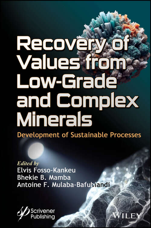Book cover of Recovery of Values from Low-Grade and Complex Minerals: Development of Sustainable Processes
