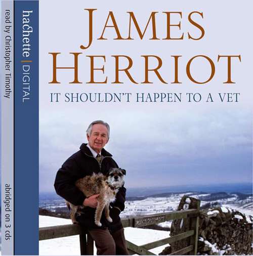 Book cover of It Shouldn't Happen To A Vet