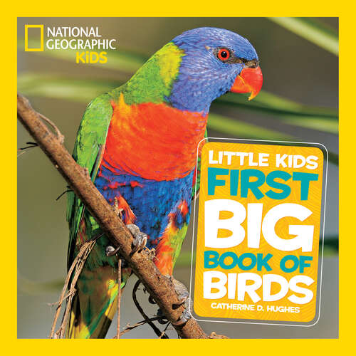 Book cover of National Geographic Little Kids First Big Book of Birds (National Geographic Little Kids First Big Books)