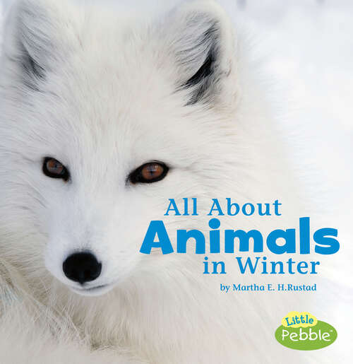 Book cover of All About Animals in Winter