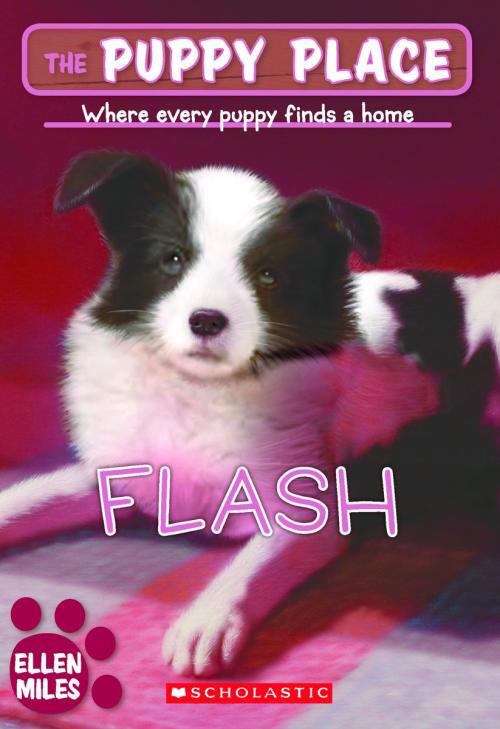 Book cover of Flash (The Puppy Place #6)
