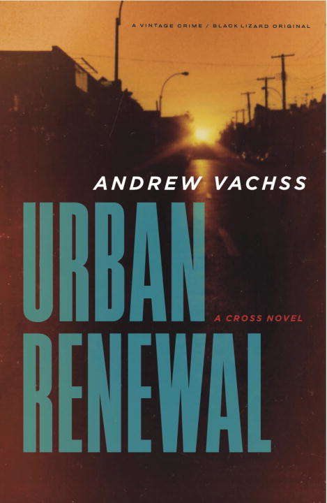 Book cover of Urban Renewal