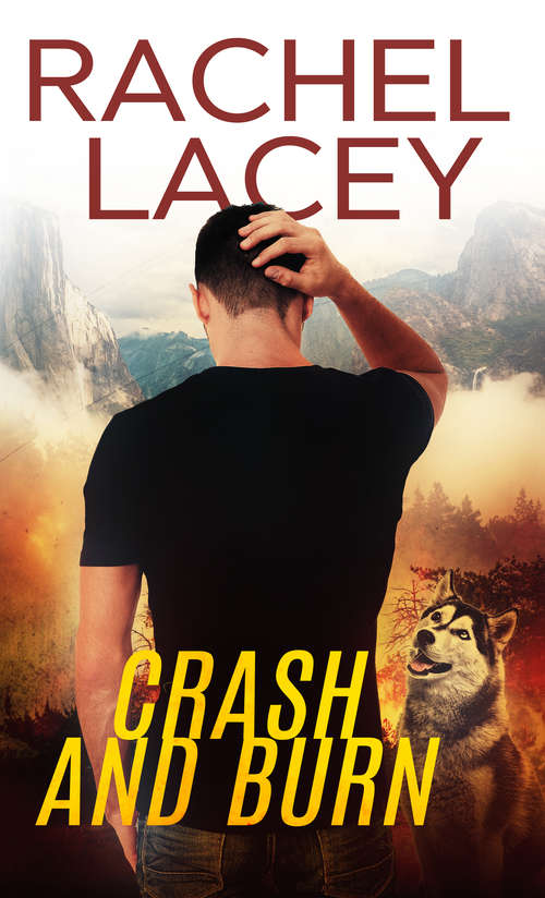 Book cover of Crash and Burn (Stranded #1)