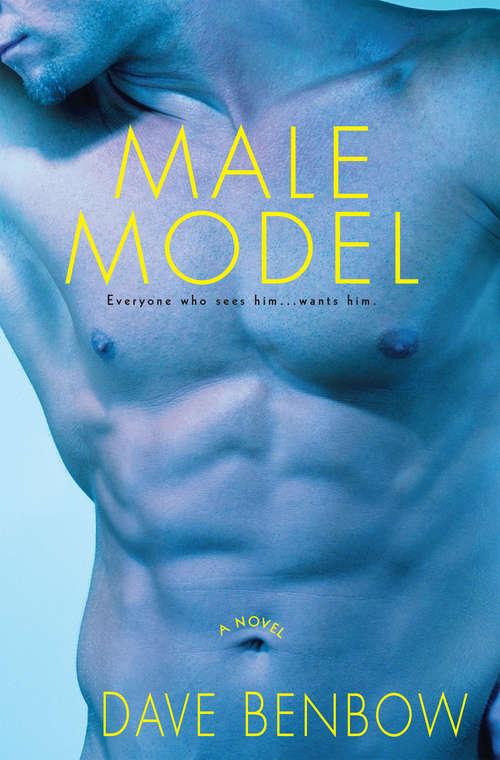 Book cover of Male Model