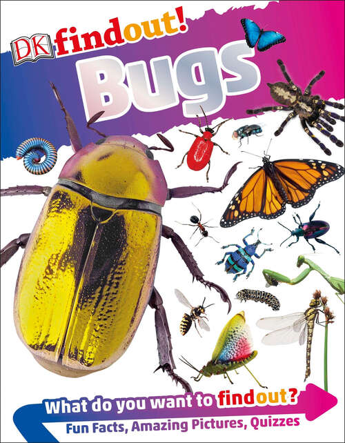 Book cover of DKfindout! Bugs (DK findout!)