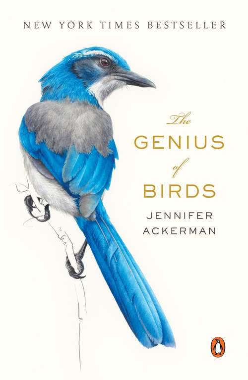 Book cover of The Genius of Birds