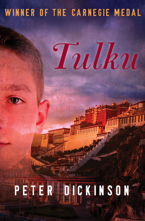 Book cover of Tulku
