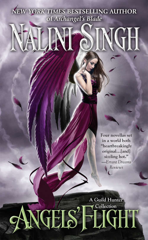 Book cover of Angels' Flight