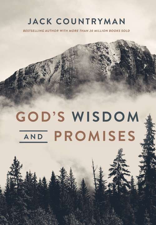Book cover of God's Wisdom and Promises