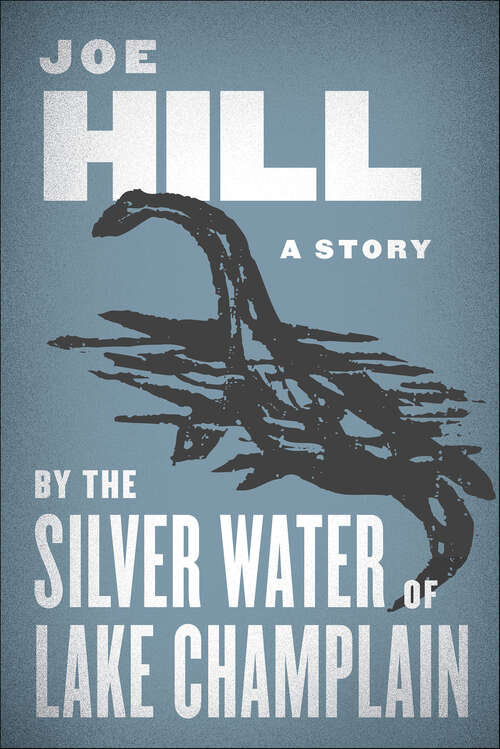 Book cover of By the Silver Water of Lake Champlain: A Story