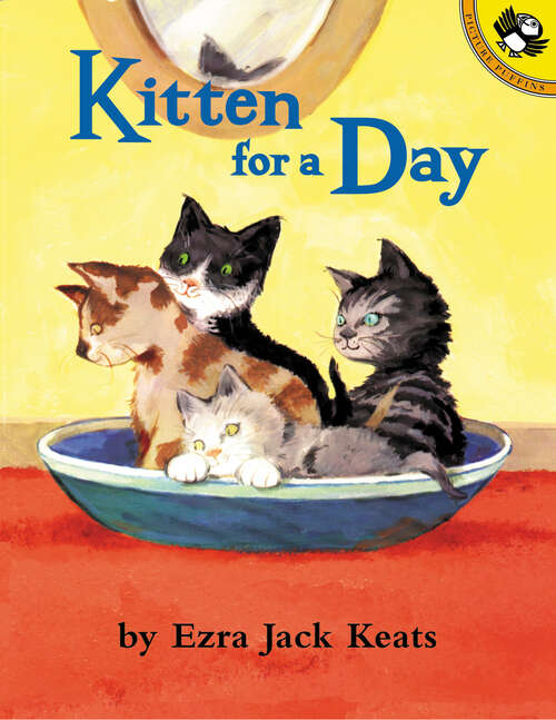 Book cover of Kitten for a Day