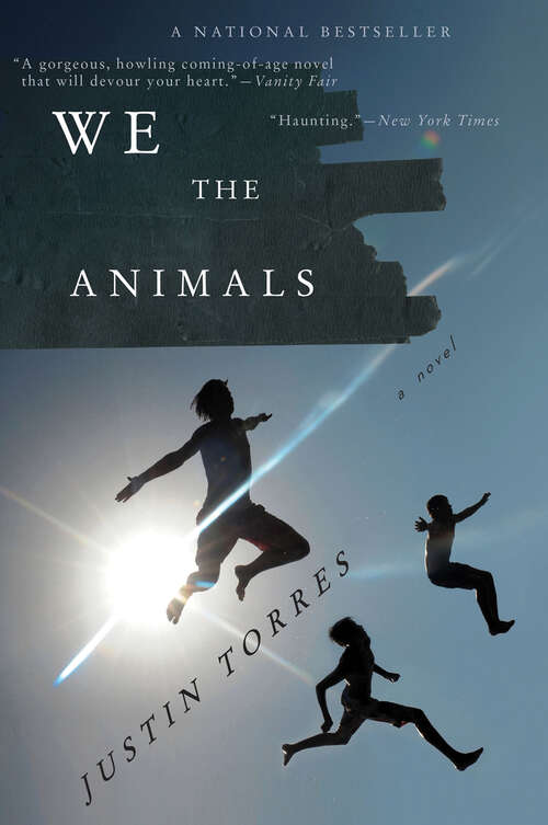 Book cover of We the Animals