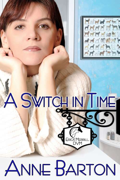 Book cover of A Switch in Time: A Dr. Erica Merrill Mystery (A Dr. Erica Merrill Mystery #2)