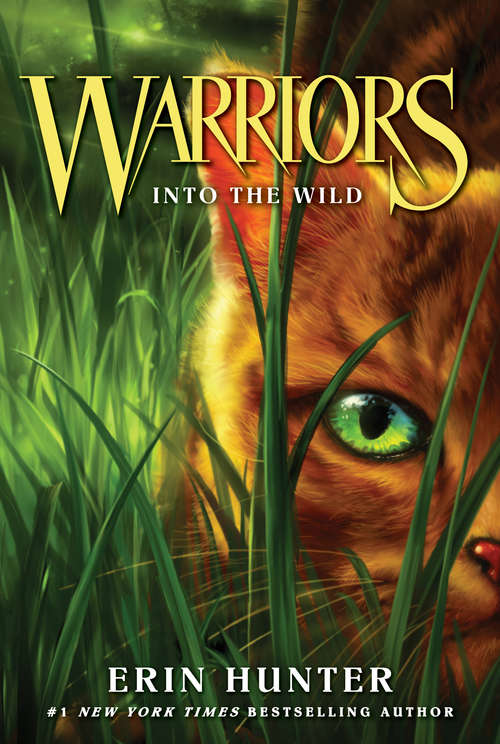 Book cover of Warriors #1: Into the Wild