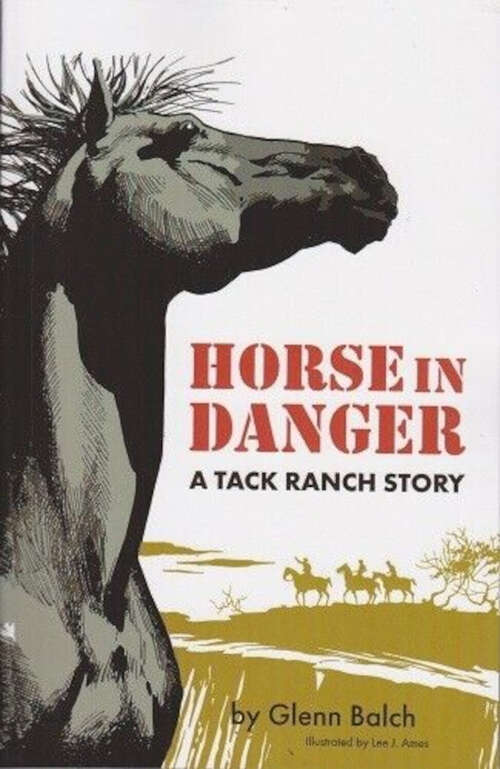 Book cover of Horse in Danger: A Tack Ranch Story (Tack Ranch #7)