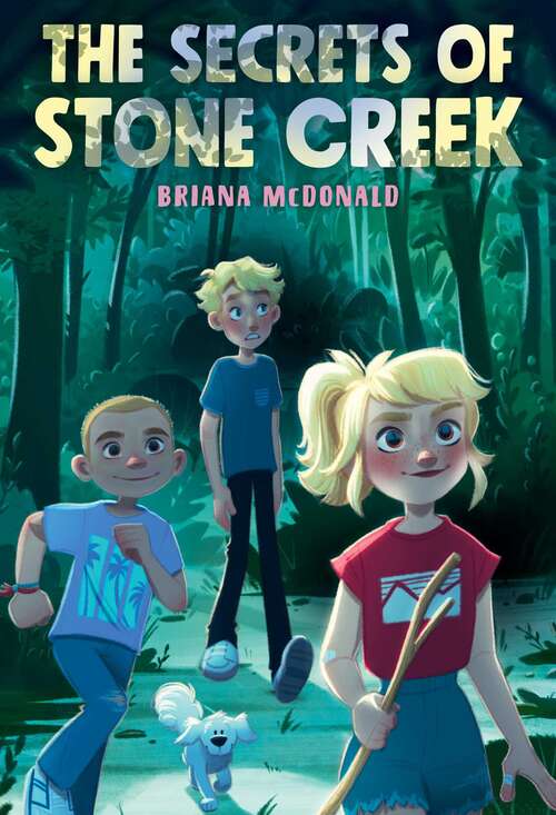 Book cover of The Secrets of Stone Creek