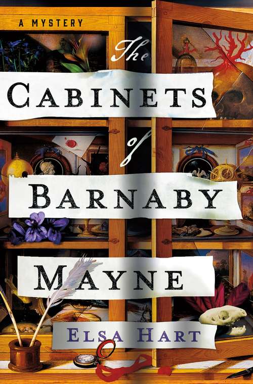 Book cover of The Cabinets of Barnaby Mayne: A Mystery