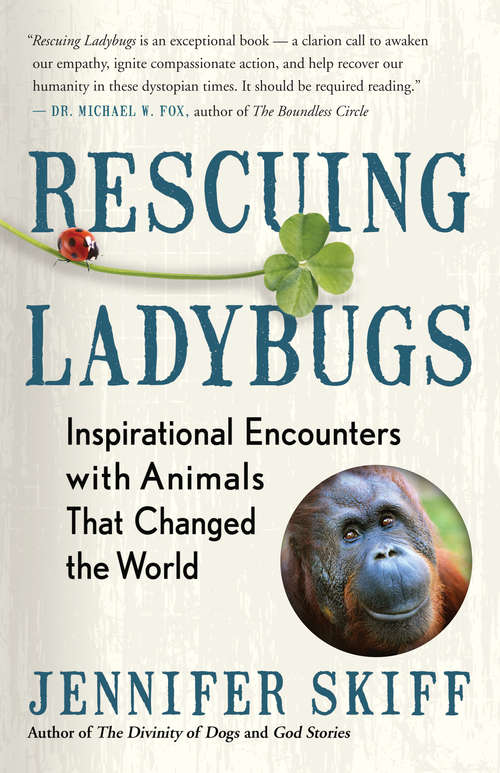 Book cover of Rescuing Ladybugs: Inspirational Encounters with Animals That Changed the World