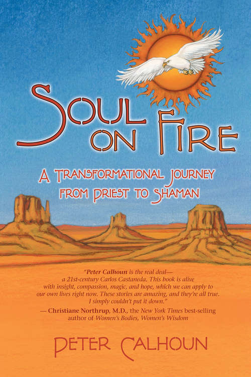 Book cover of Soul on Fire: A Transformational Journey From Priest To Shaman