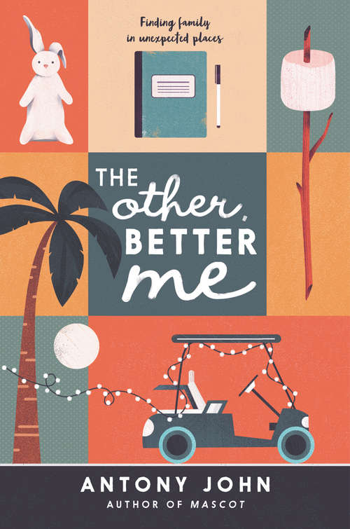 Book cover of The Other, Better Me