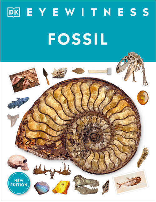 Book cover of Eyewitness Fossil (DK Eyewitness)