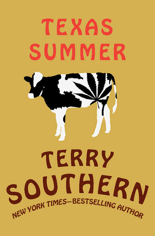 Book cover of Texas Summer