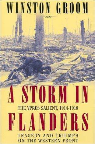 Book cover of A Storm in Flanders