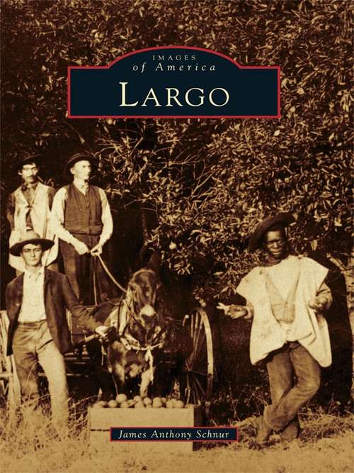Book cover of Largo