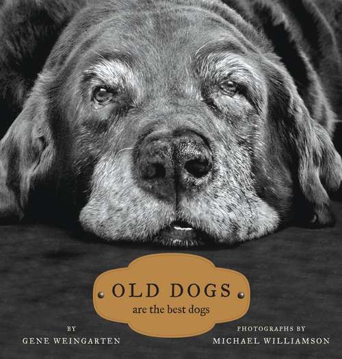 Book cover of Old Dogs