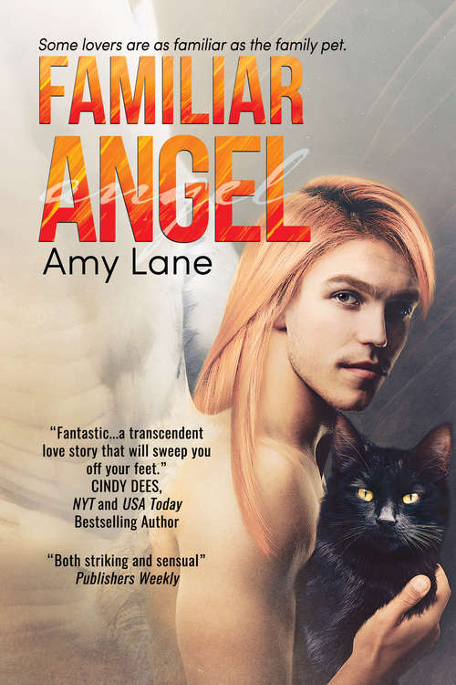Book cover of Familiar Angel (Familiar Love #1)