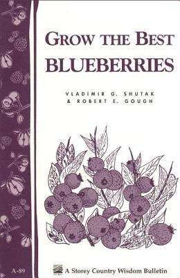 Grow The Best Blueberries
