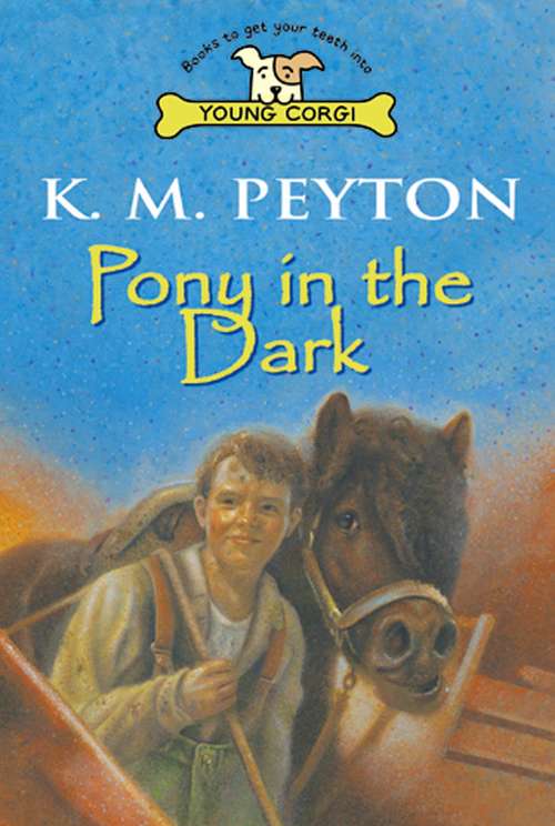 Book cover of Pony in the Dark